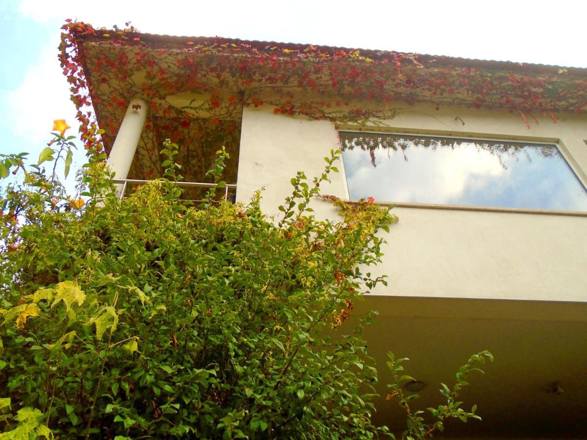 The Nest ~ Your Best Rest Sever do Vouga Luaran gambar