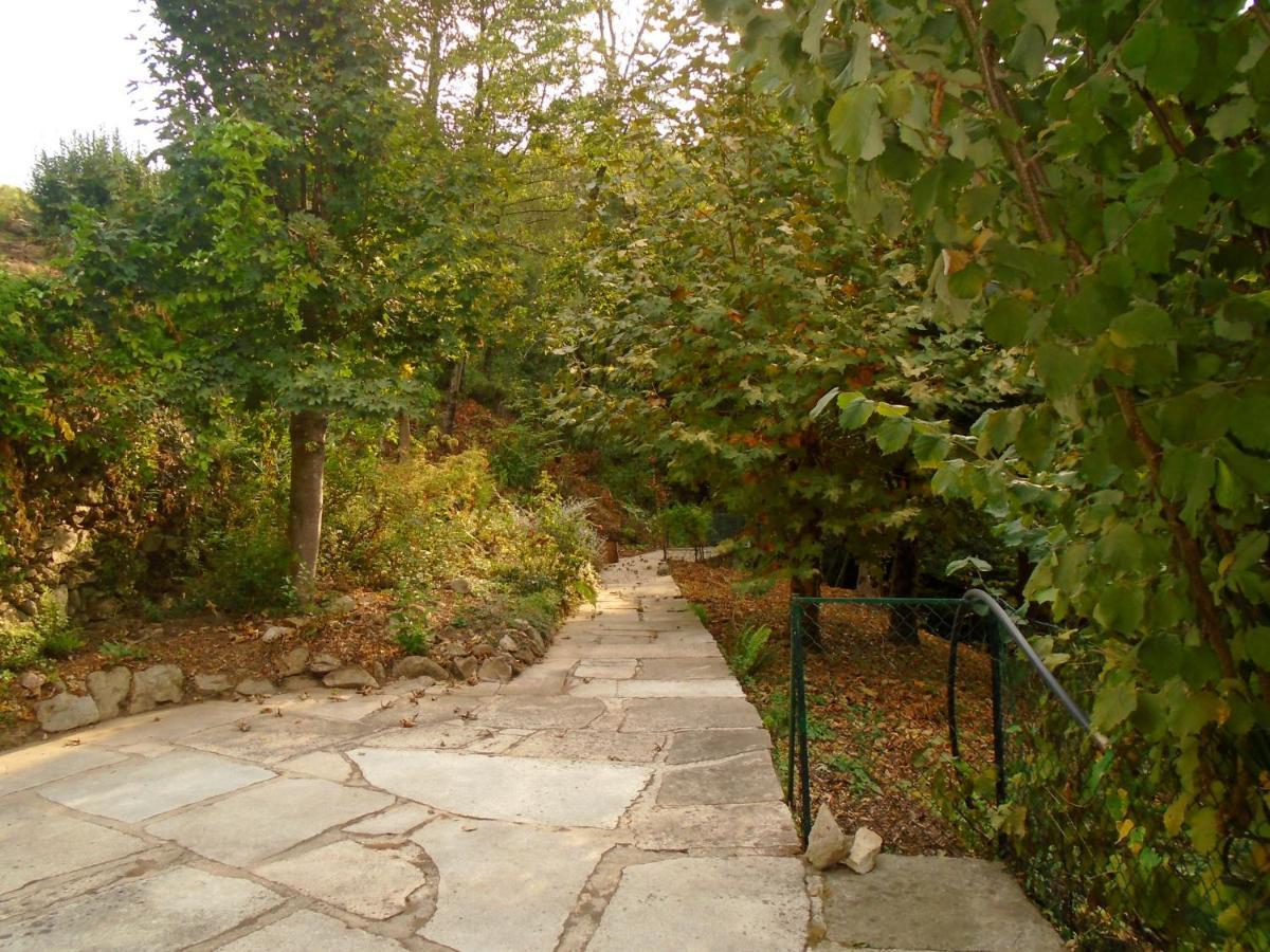The Nest ~ Your Best Rest Sever do Vouga Luaran gambar