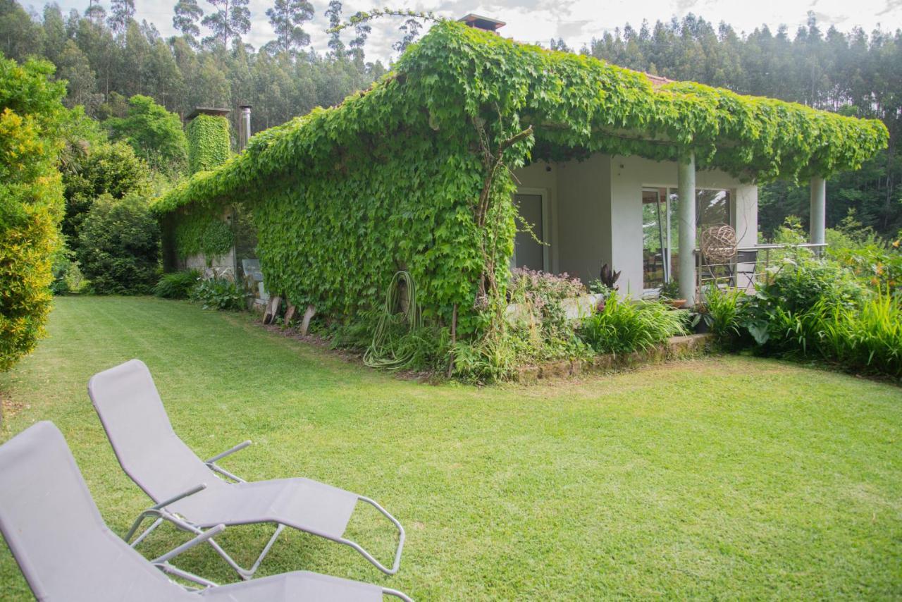 The Nest ~ Your Best Rest Sever do Vouga Luaran gambar