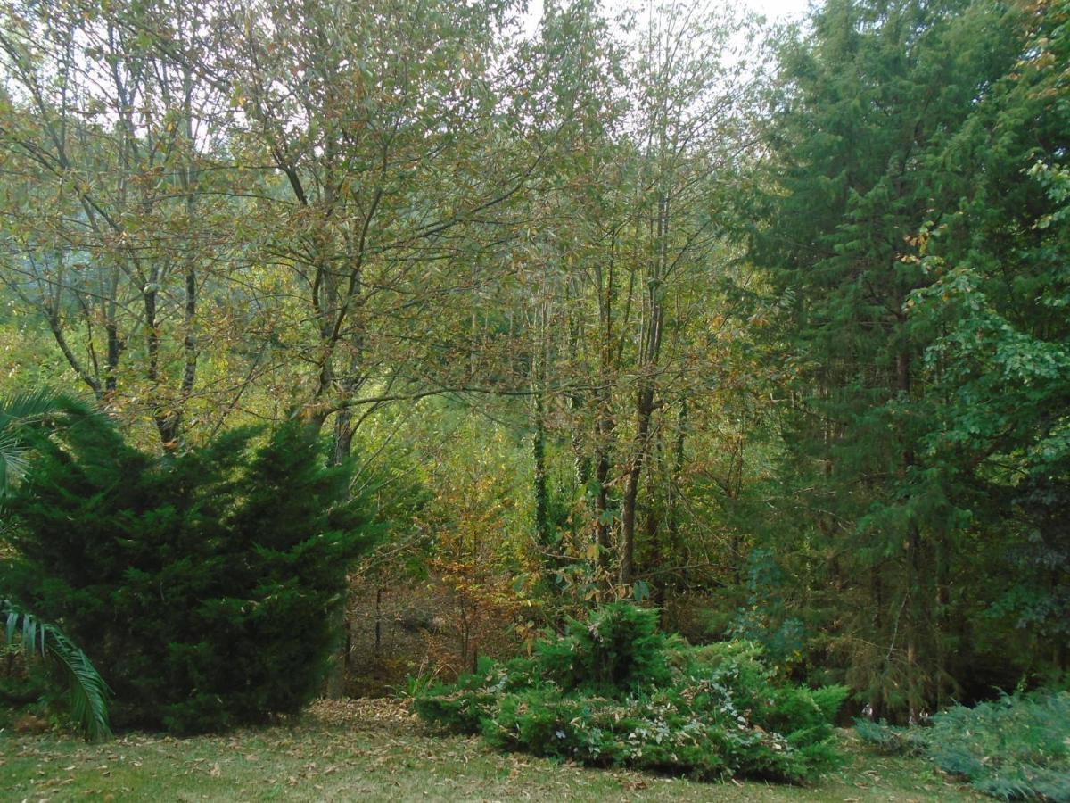 The Nest ~ Your Best Rest Sever do Vouga Luaran gambar