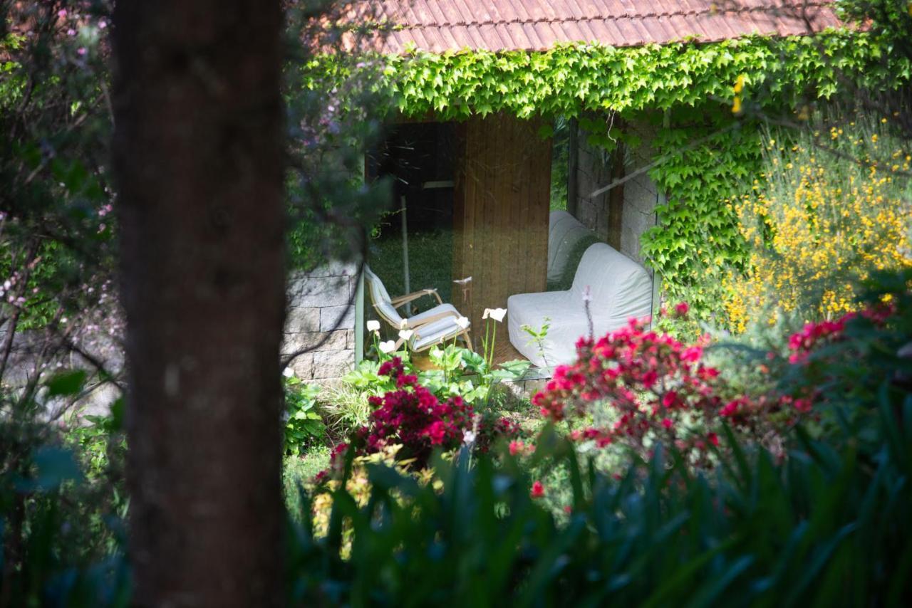 The Nest ~ Your Best Rest Sever do Vouga Luaran gambar
