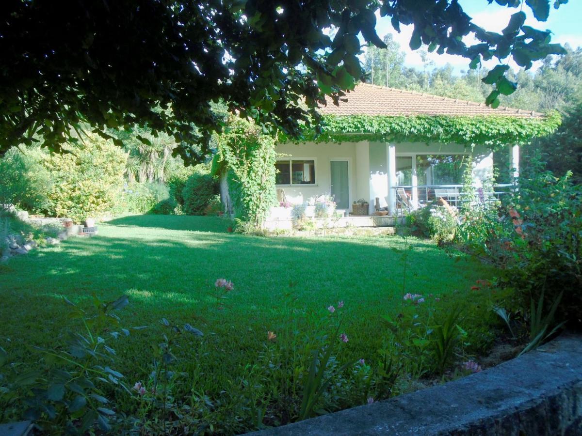 The Nest ~ Your Best Rest Sever do Vouga Luaran gambar